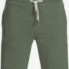 Indicode Jeans Shorts Regular Broek Aldrich Heren Grasgroen