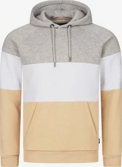 Indicode Jeans Hoodies Sweatshirt Donta Heren Gemengde Kleuren