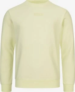 Indicode Jeans Sweatshirts Sweatshirt Baxter Heren Pastelgroen