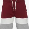 Indicode Jeans Shorts Regular Broek Caul Heren Gemengde Kleuren -Indicode Jeans Verkoop 2023 e3cb2eda9aa0d0481990406c4811847d