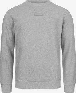 Indicode Jeans Sweatshirts Sweatshirt Baxter Heren Grijs